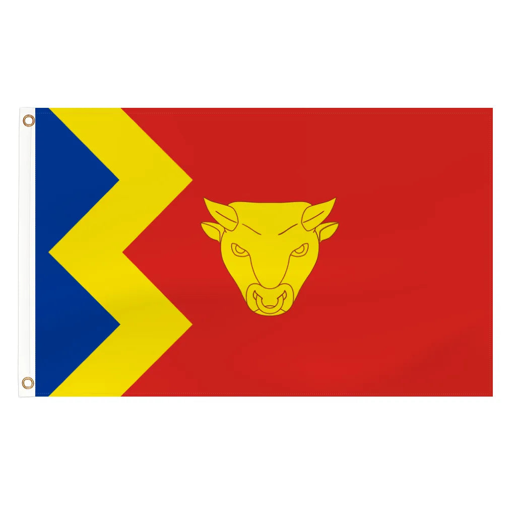 Birmingham city flag - 5ft x 3ft lightweight polyester with brass eyelets