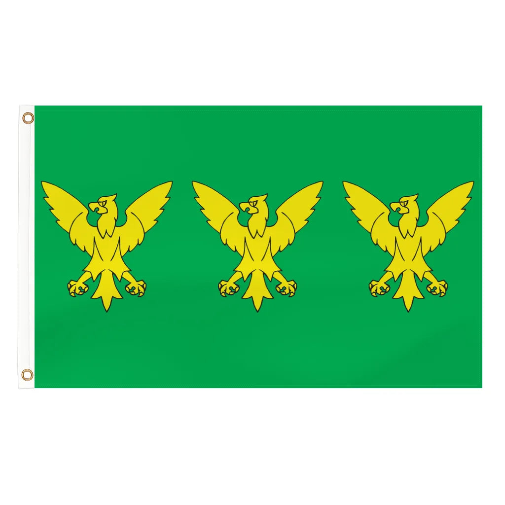 Caernarfonshire county flag - 5ft x 3ft lightweight polyester with brass eyelets