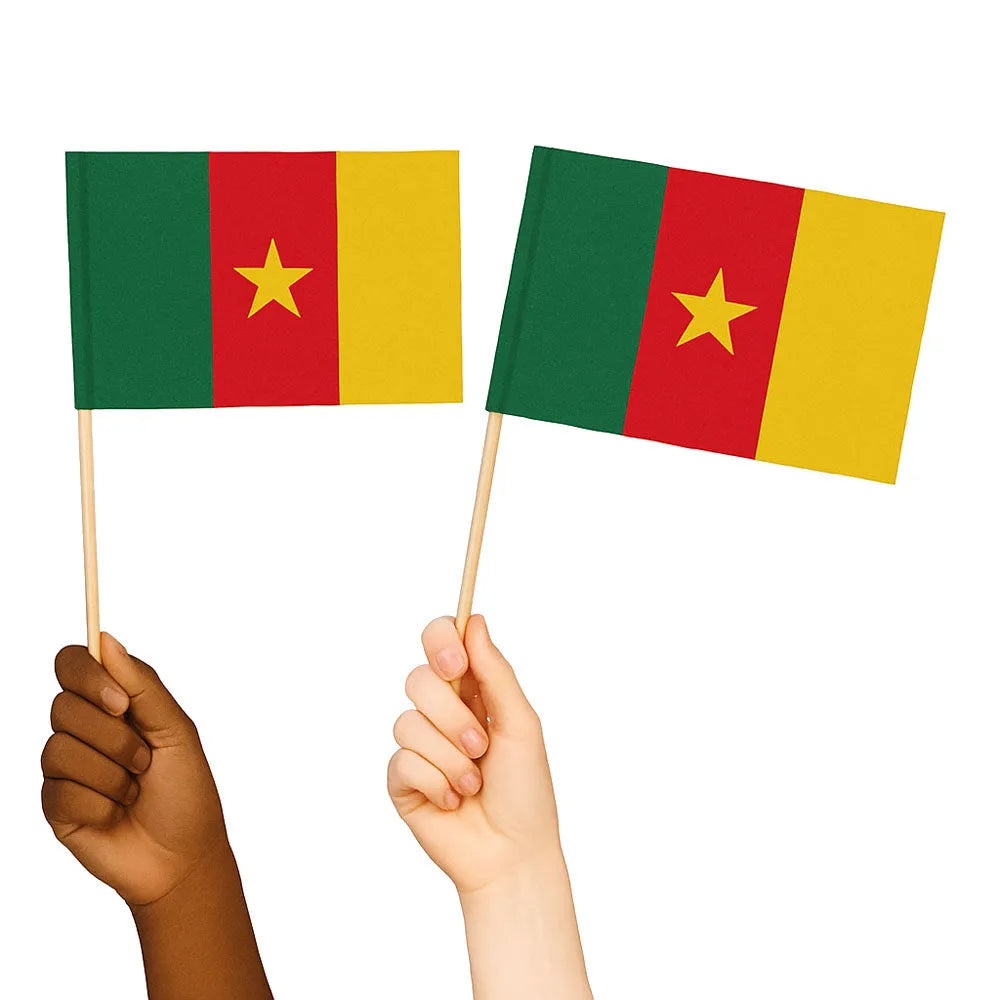 Cameroon Handwaving Flags