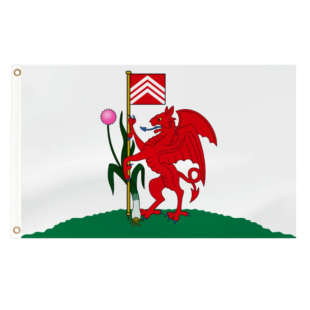 Cardiff city flag - 5ft x 3ft lightweight polyester with brass eyelets