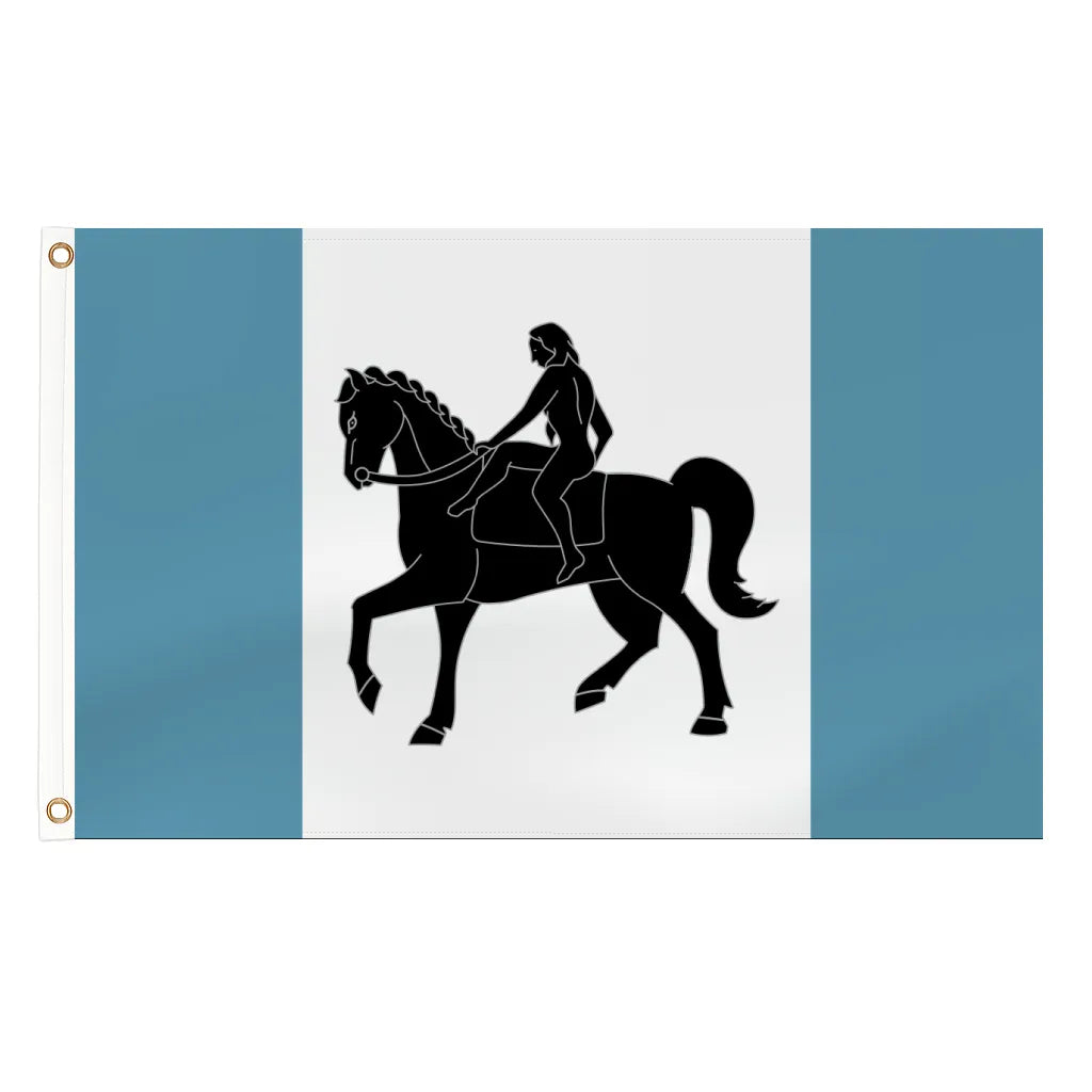 Coventry City city flag - 5ft x 3ft lightweight polyester with brass eyelets