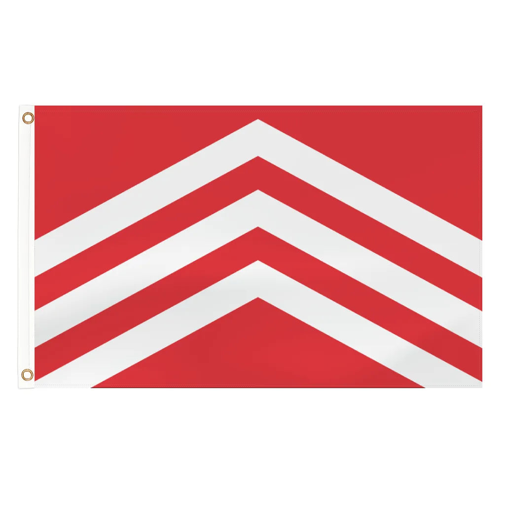 Glamorgan county flag - 5ft x 3ft lightweight polyester with brass eyelets