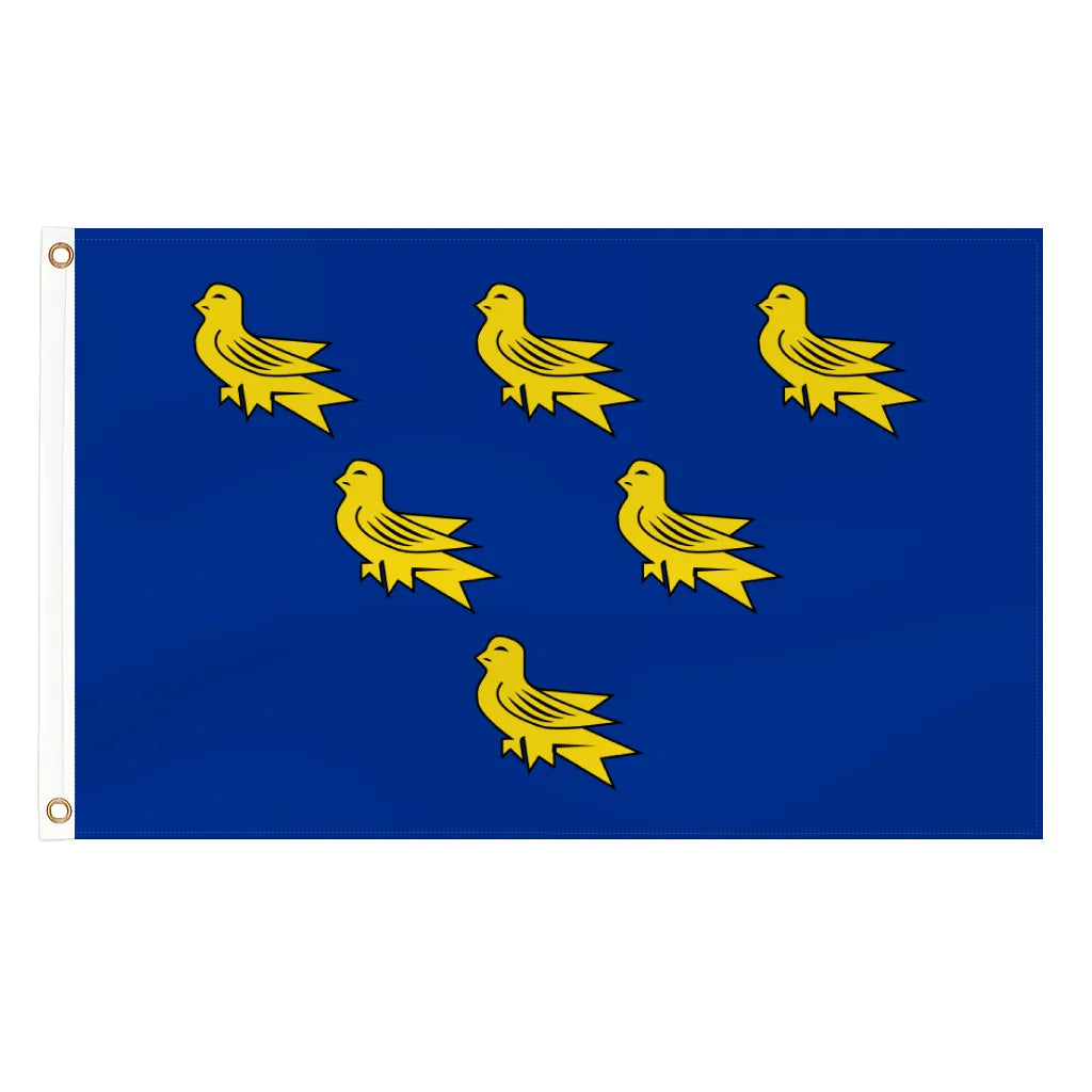 Sussex county flag - 5ft x 3ft lightweight polyester with brass eyelets