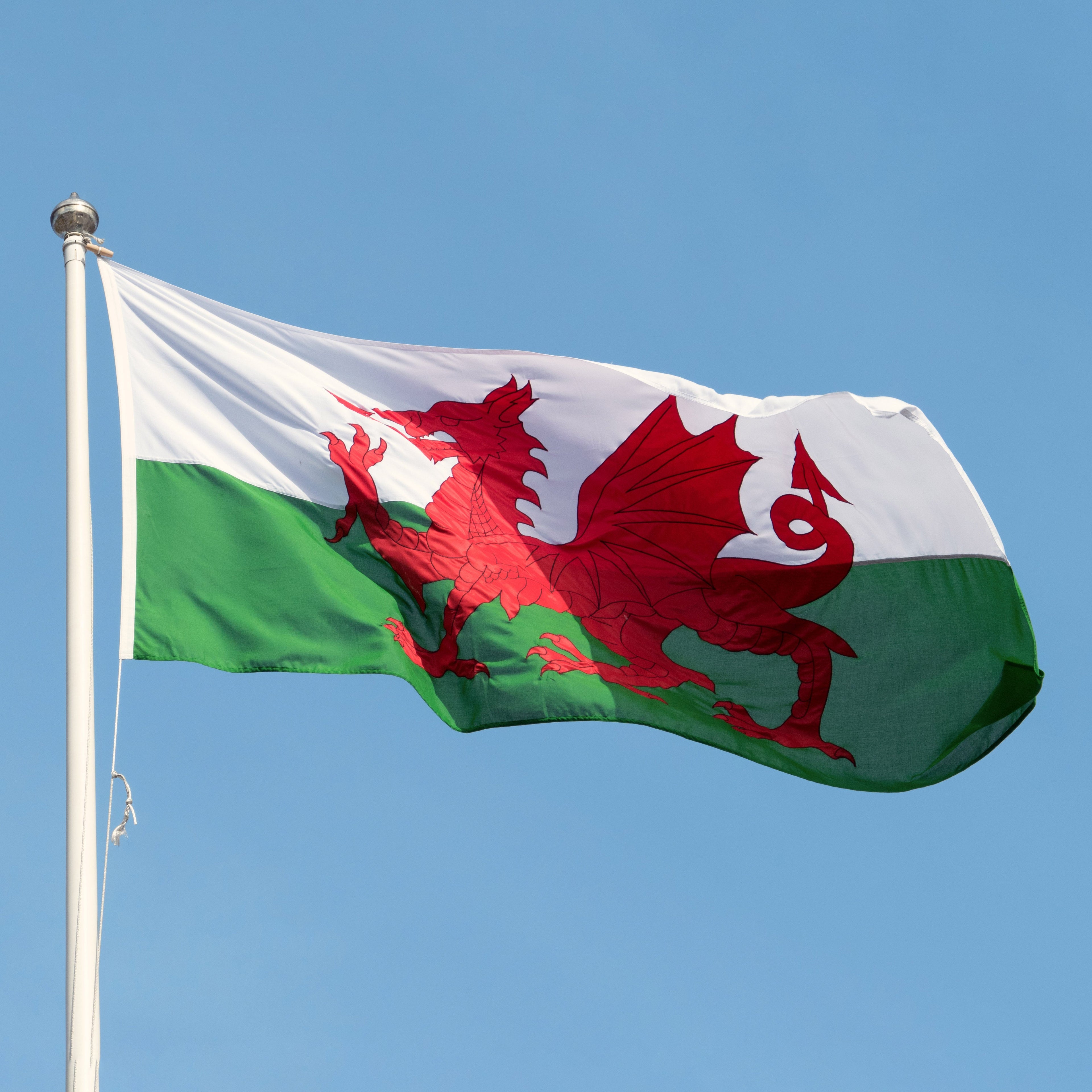 All Wales Flags (Welsh)