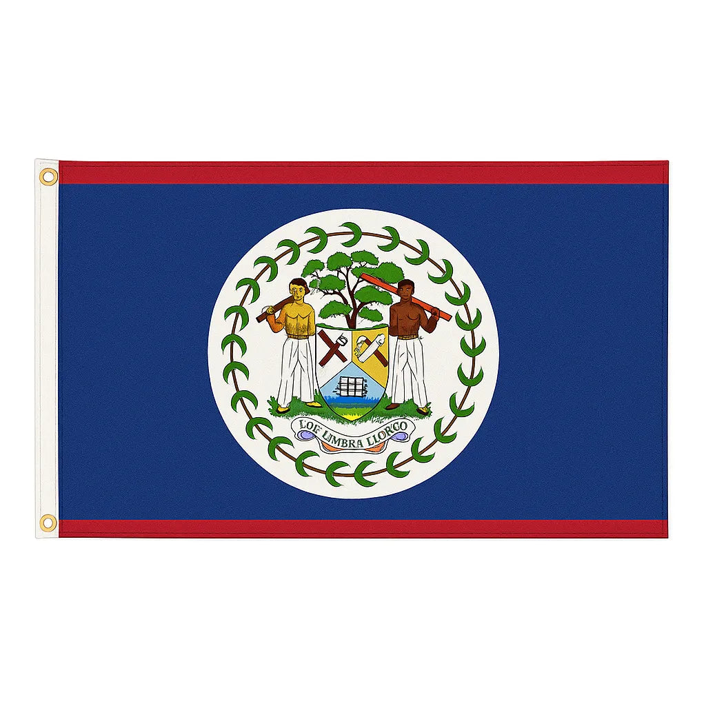 Flag of Belize with a central emblem on a blue background