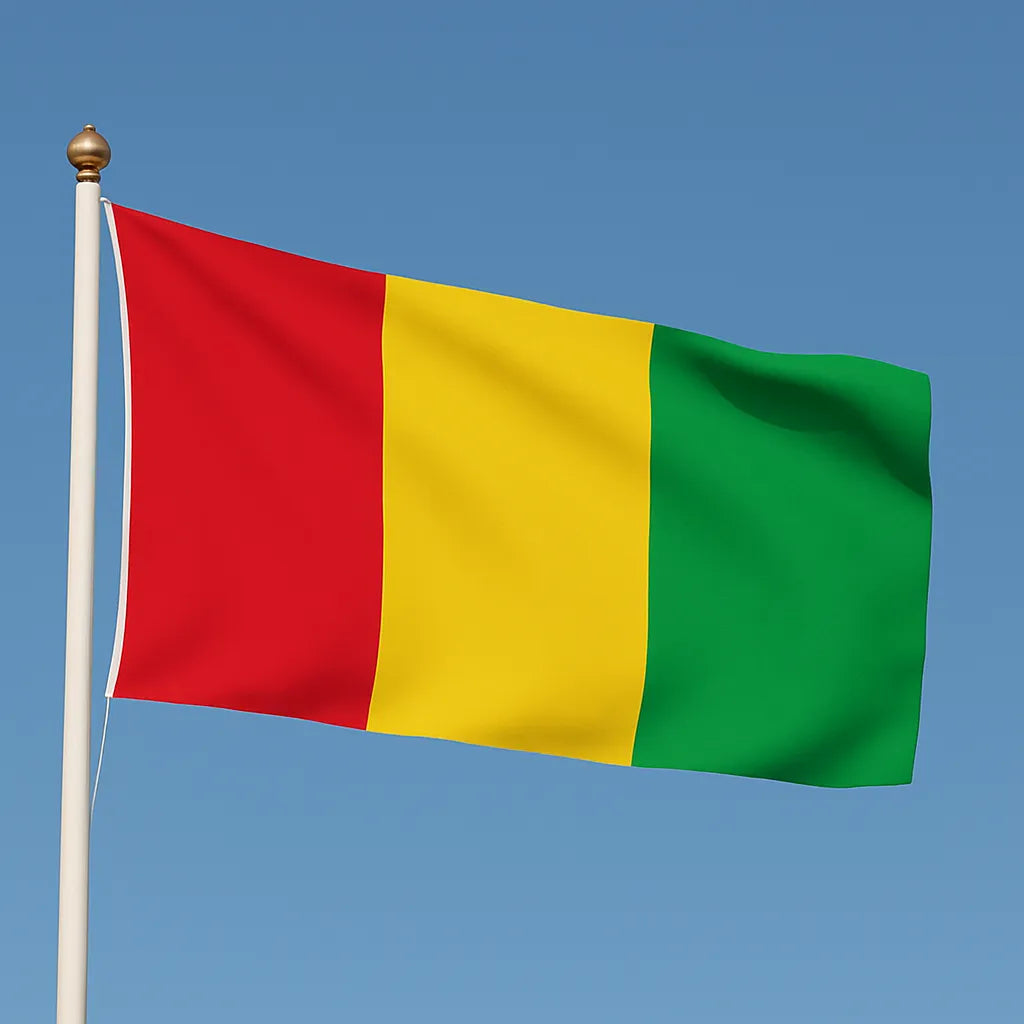 Sewn Guinea Flag – premium woven polyester, professional quality for long-term external display.