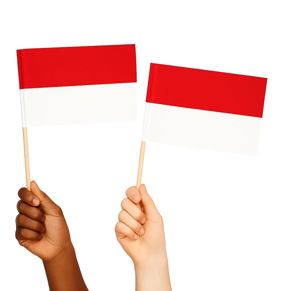 Indonesia Handwaving Flags