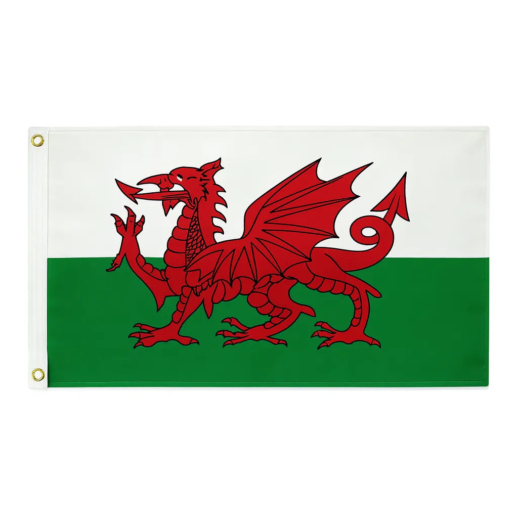 Flag with a red dragon on a green and white background