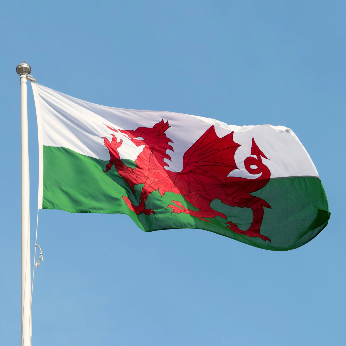 Flag with a red dragon on a green and white background against a clear blue sky.