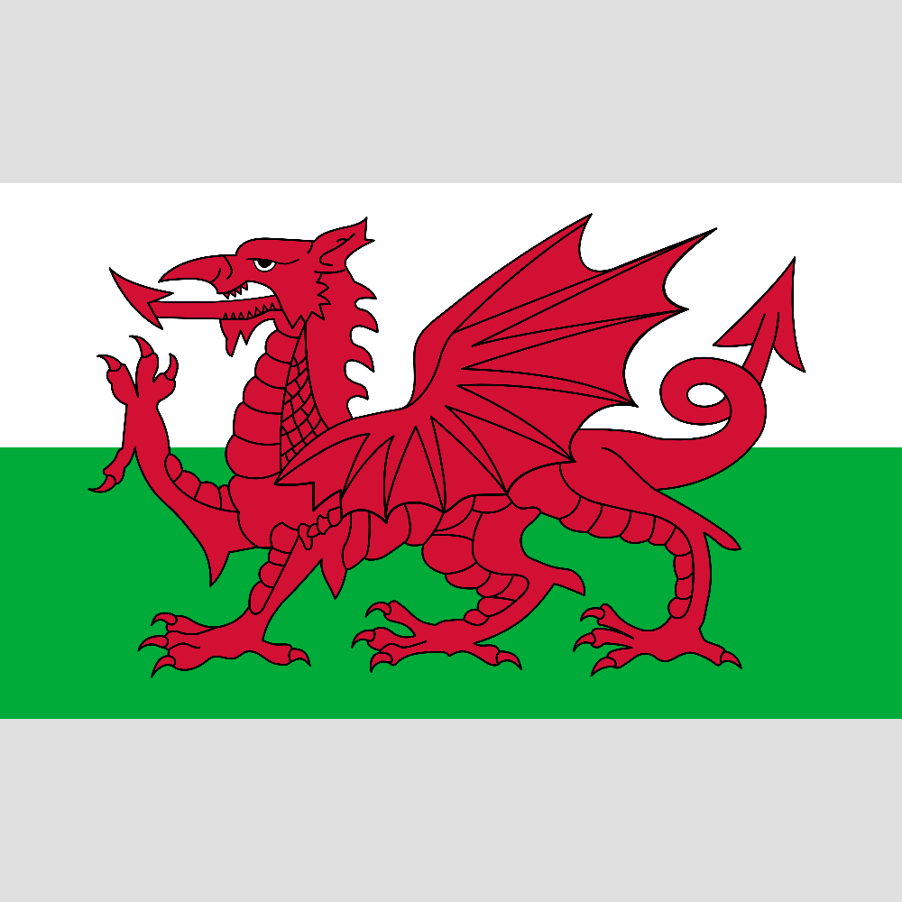 Welsh Dragon Flag design