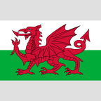 Welsh Dragon Flag design