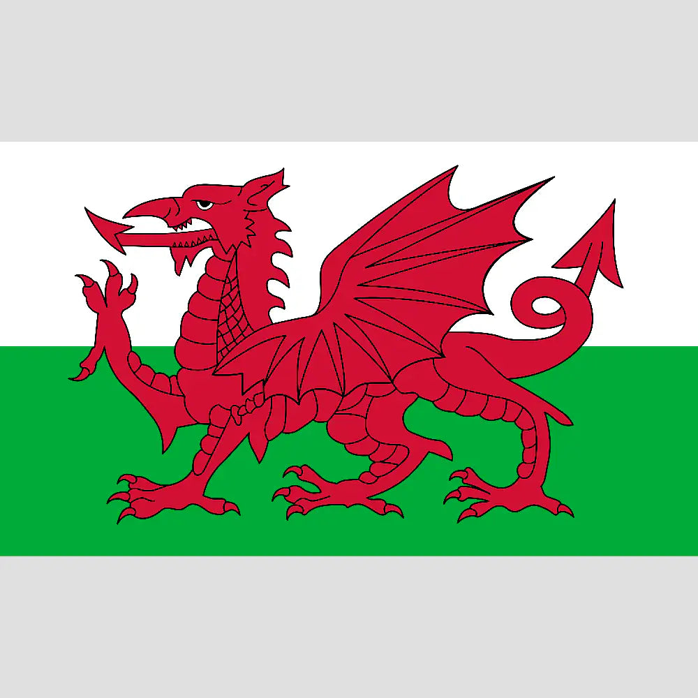 Welsh Dragon Flag design