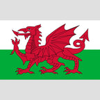 Welsh Dragon Flag design